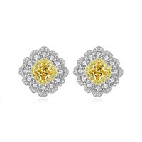 Pendientes Gaurosa Mujer in Plata SE0346 - SE0346